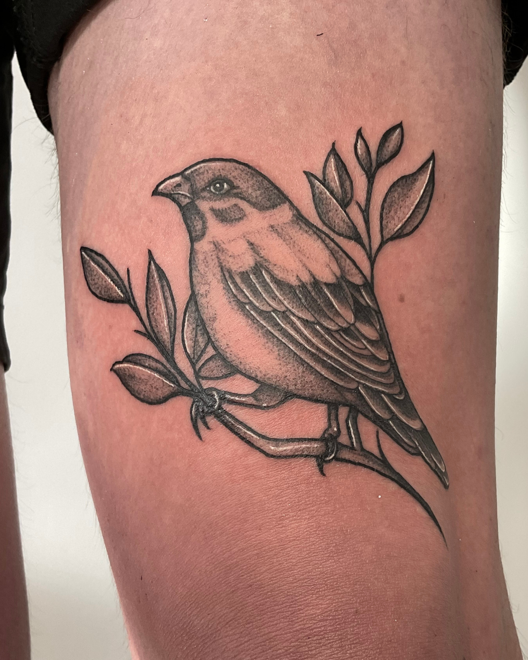 tatuagem colorida, tatuagem masculina, tatuagem, realismo, tattoo, tatuagem desenho, tatuagem feminina, tatuagem delicada, tatuagem no braço masculino - 6