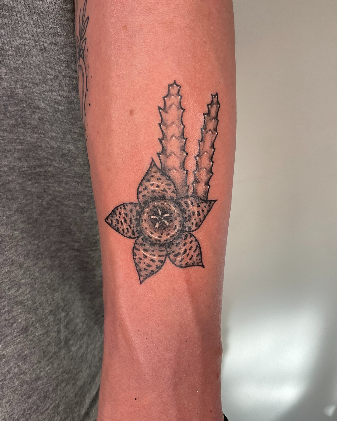 tatuagem colorida, tatuagem masculina, tatuagem, realismo, tattoo, tatuagem desenho, tatuagem feminina, tatuagem delicada, tatuagem no braço masculino - 7